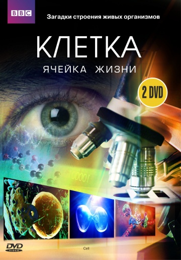 BBC: Клетка BBC: Клетка