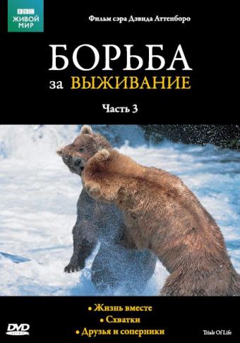 BBC: Борьба за выживание BBC: Борьба за выживание