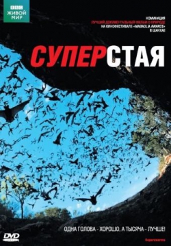 BBC: Суперстая BBC: Суперстая
