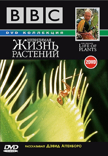 BBC: Невидимая жизнь растений BBC: Невидимая жизнь растений